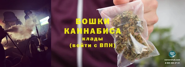 крисы Аркадак
