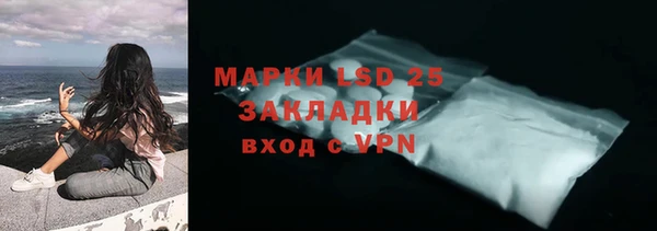 эйфоретик Арсеньев