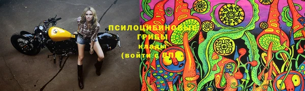 крисы Аркадак