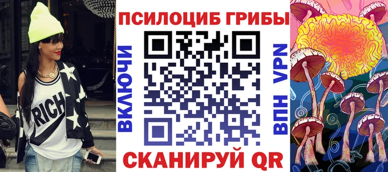 Псилоцибиновые грибы Cubensis Пыть-Ях
